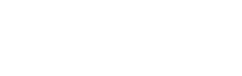 Werfen White Logo